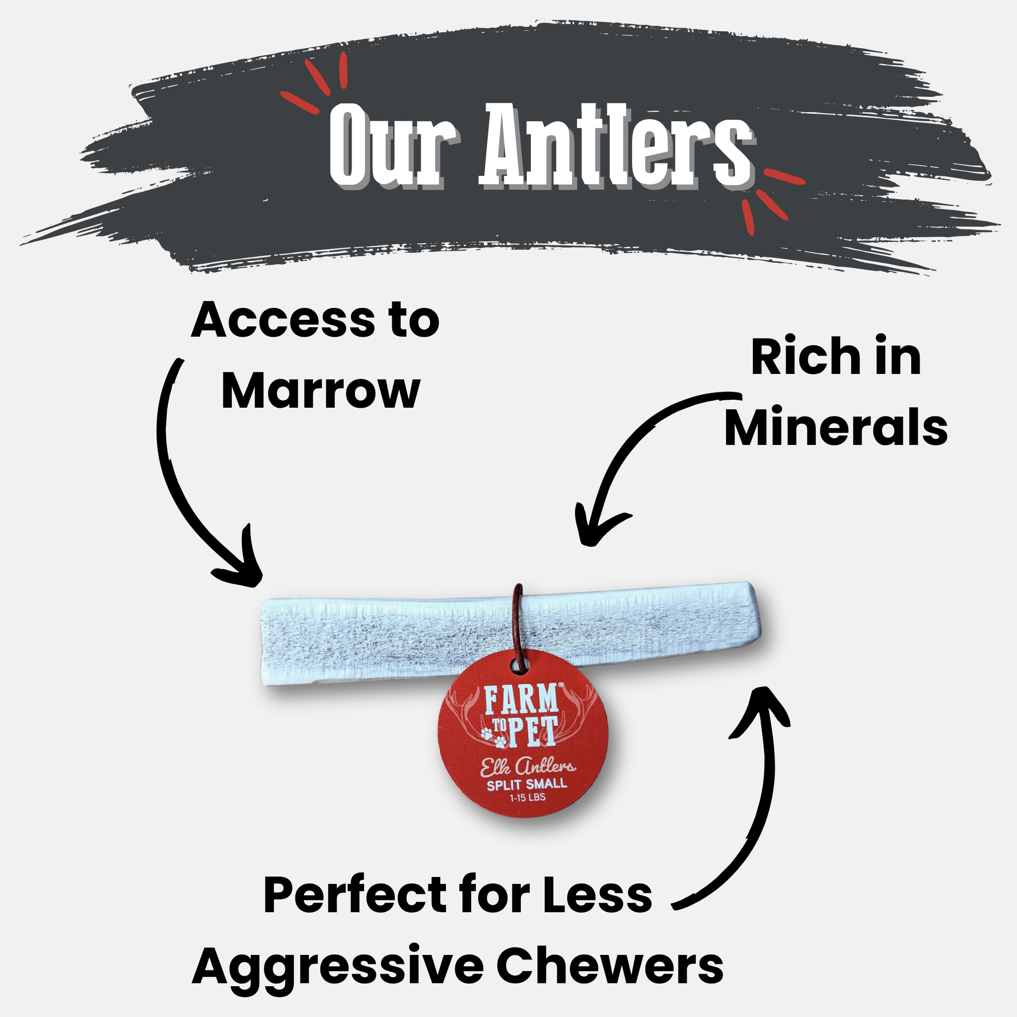 Elk Antler Dog Chews | All-Natural Whole and Split Elk Antler Chews for Dogs