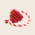 Chew Toys