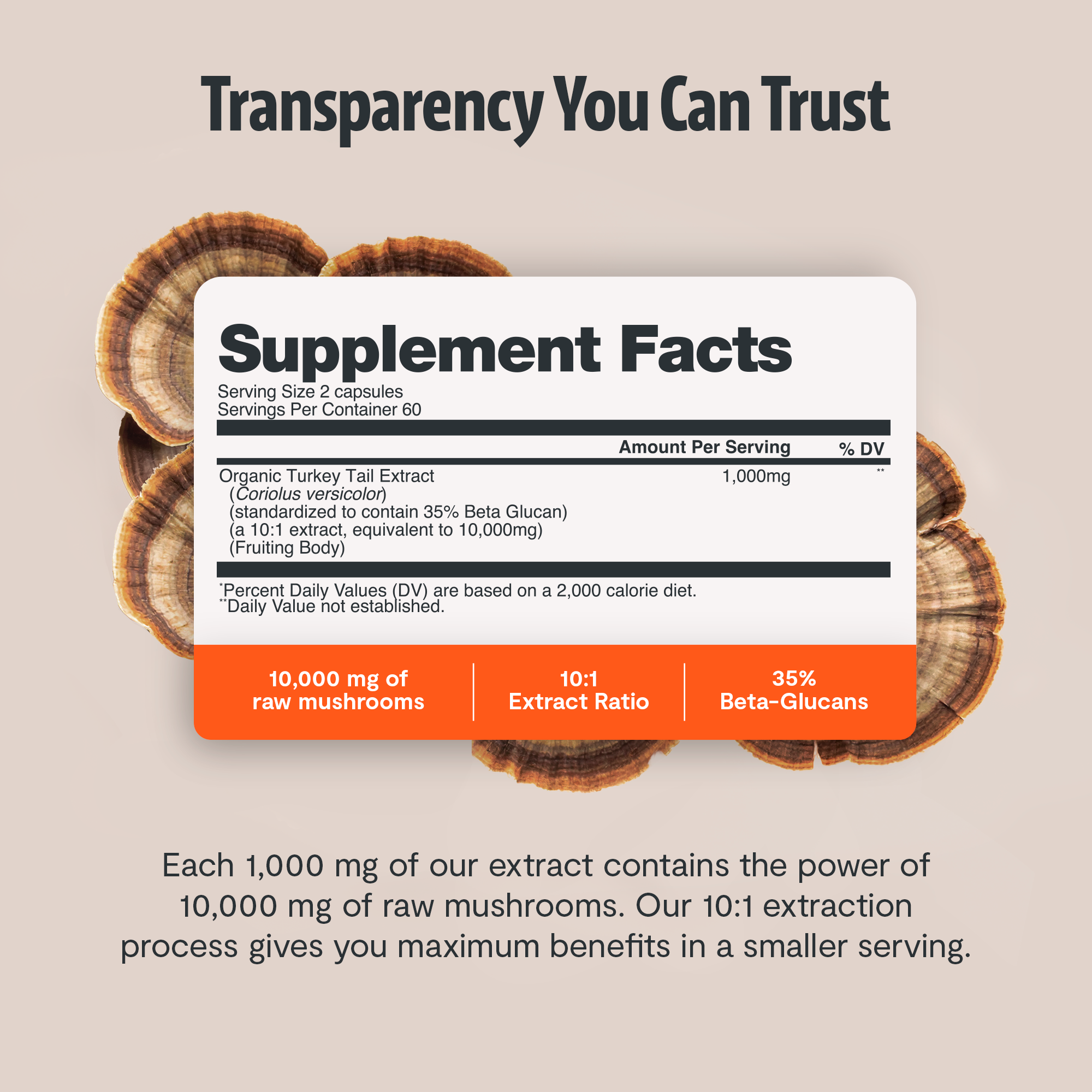 Organic Turkey Tail Mushroom Capsules