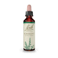 Bach Agrimony 20mL - 3 Pack
