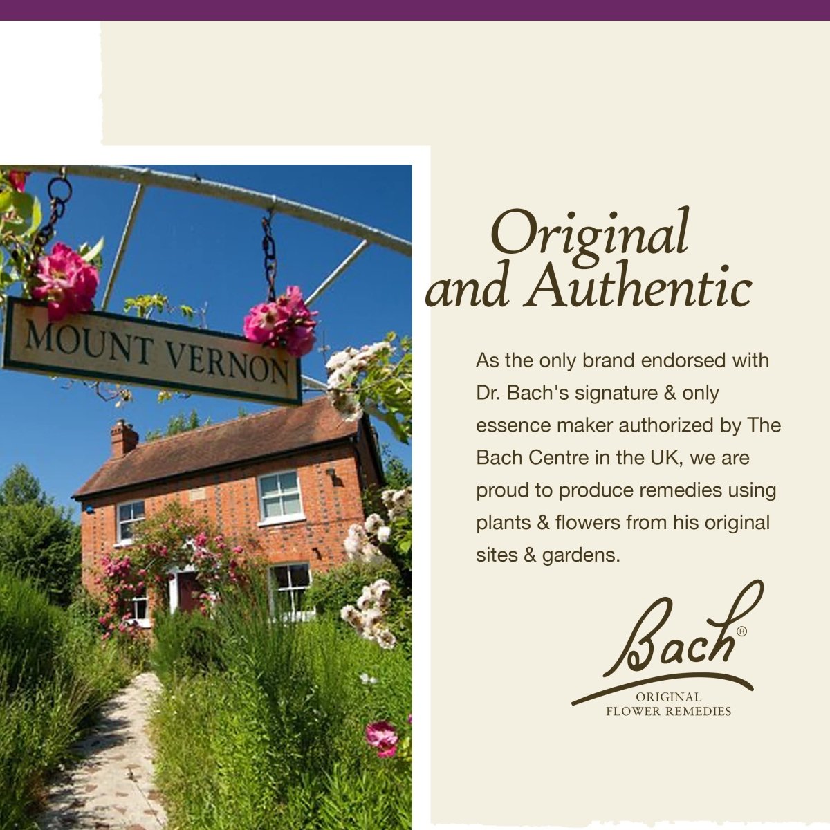 Bach Water Violet 20mL