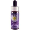 Dune Primrose Dropper 1 Ounces