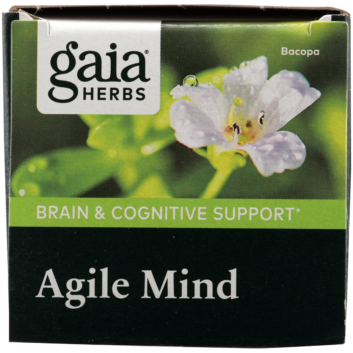 Gaia Herbs Agile Mind - Brain & Cognitive Support Herbal Supplements - with Organic Turmeric Root, Bacopa, Black Pepper, and Ginkgo Biloba - 60 Vegan Liquid Phyto-Capsules (30-Day Supply)