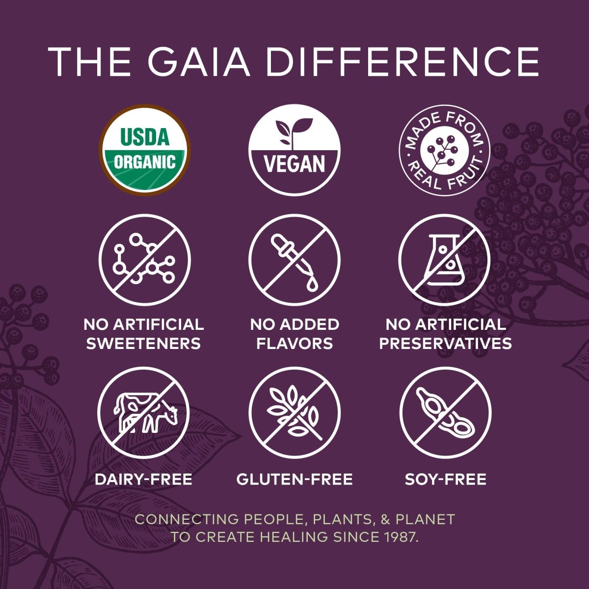 Gaia Herbs Black Elderberry Extra Strength Gummies - Immune Support with Certified Organic Black Elderberries - 40 Gummies