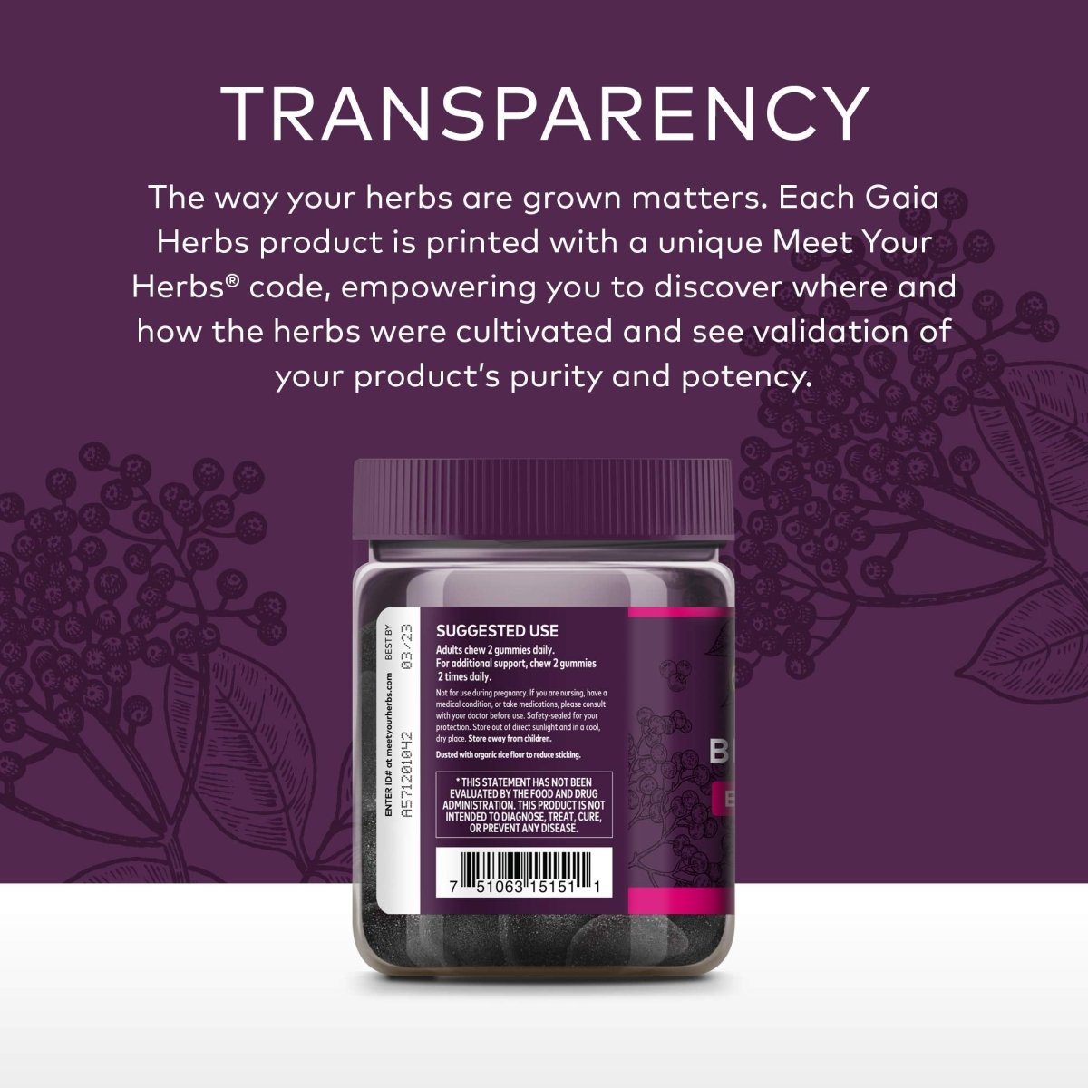 Gaia Herbs Black Elderberry Extra Strength Gummies - Immune Support with Certified Organic Black Elderberries - 40 Gummies