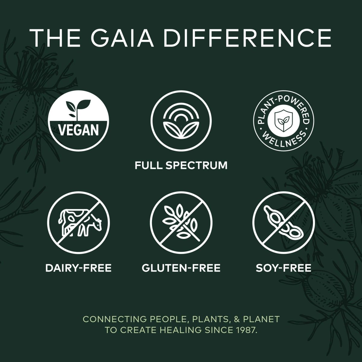 Gaia Herbs Black Seed Oil 60 Vcaps