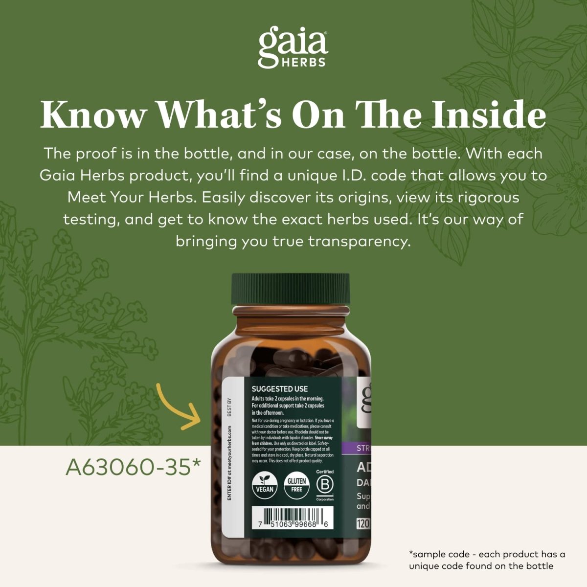 Gaia Herbs Lion's Mane Mushroom 40 Vcaps