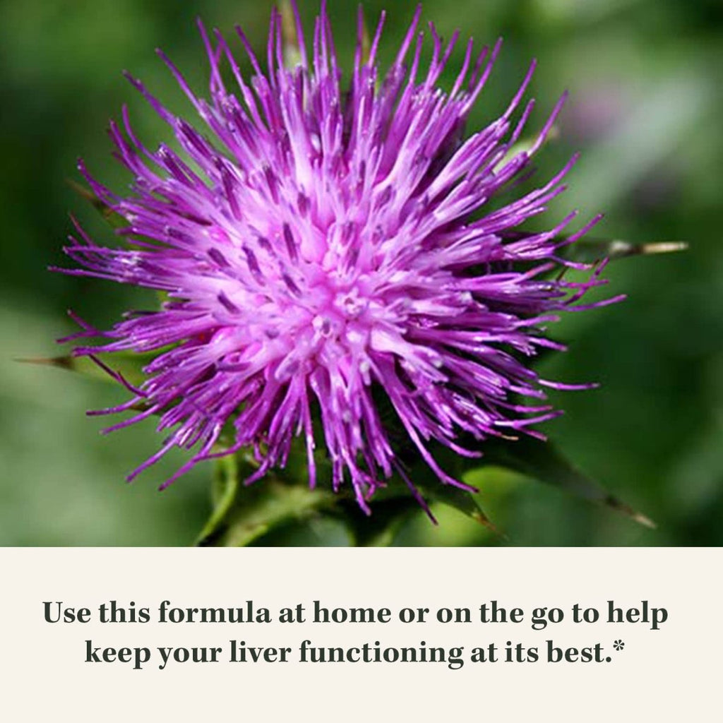 Gaia Herbs Liver Cleanse - Liver Health Support Herbal Supplement with Milk Thistle, Burdock, Turmeric Curcumin, Dandelion, and More - 60 Vegan Liquid Phyto-Caps (30 Servings)