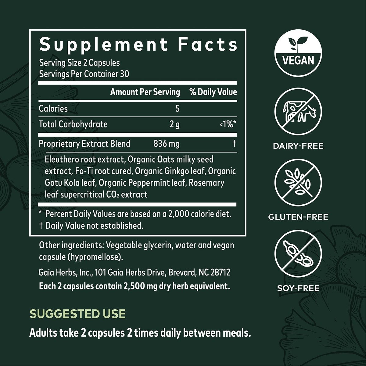 Gaia Herbs Mental Alertness - Brain Support Supplement to Help Maintain Focus & Memory* - with Eleuthero, Ginkgo Leaf, Gotu Kola, Rosemary & Oats - 60 Vegan Liquid Phyto-Capsules (15-Day Supply)