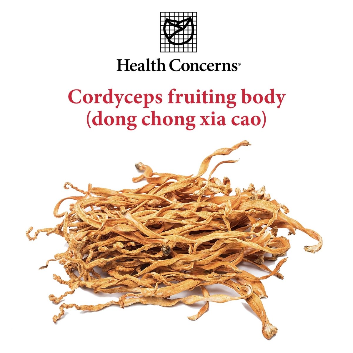 Health Concerns - Cordyceps PS - Dong Chong Xia Cao Herbal Supplement - 50 Tablets