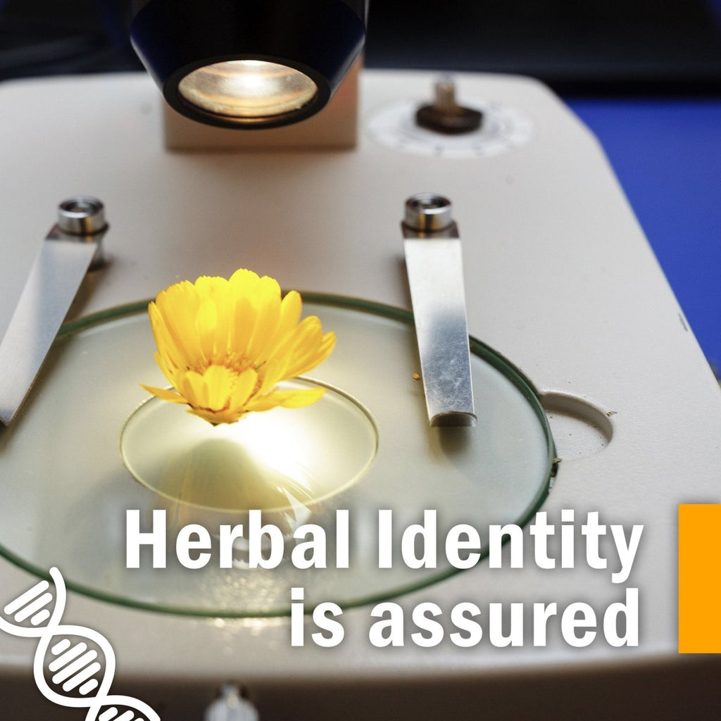 Herb Pharm Gum Guardian 4oz