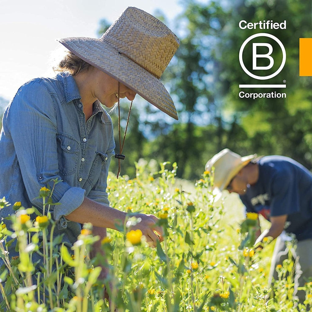 Herb Pharm Pipsissewa Liquid Extract for Urinary System Support - 1 Ounce