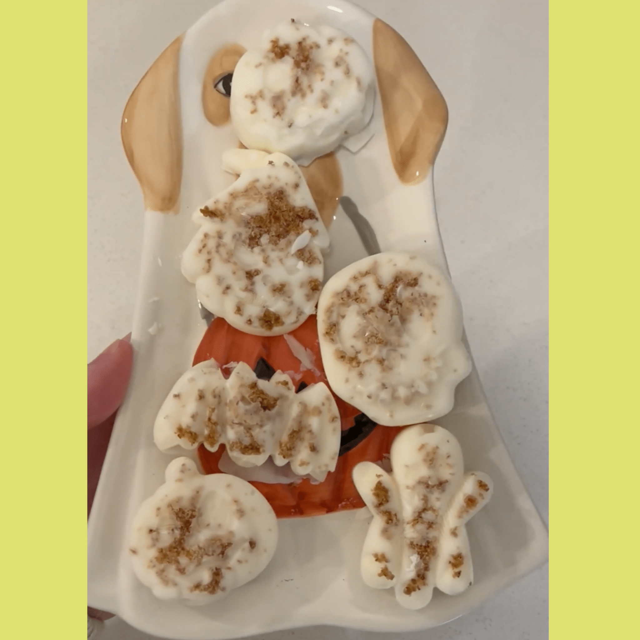 Pet Treat Molds