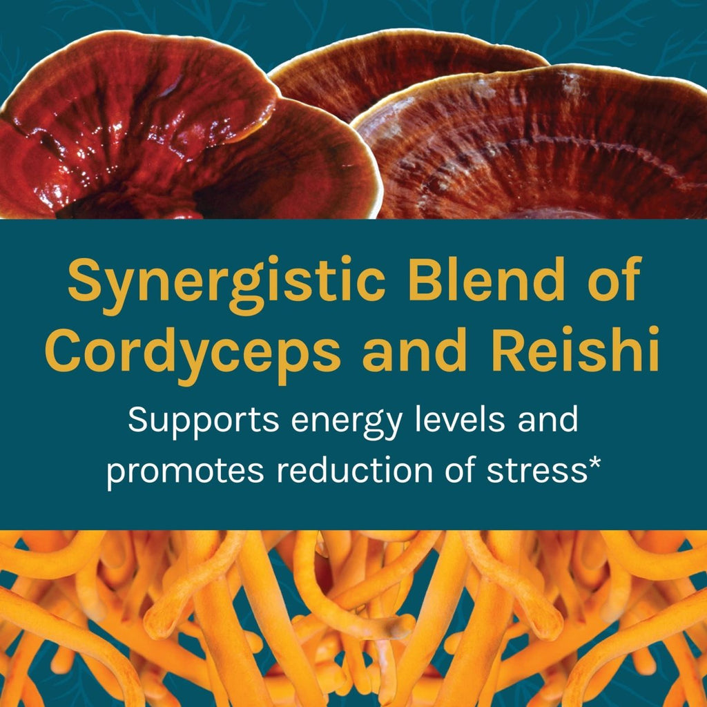 Host Defense Cordychi Extract 2oz