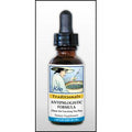 Kan Herb Traditionals Antiphlogistic Formula 8 Ounce