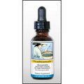 Kan Herb Traditionals Transform Accumulation in The Channels 2 Ounce