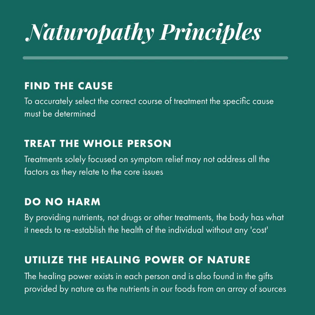 Michael's Naturopathic Programs - Kidney Factors Cleansing Support - 120 Vegetarian Tablets