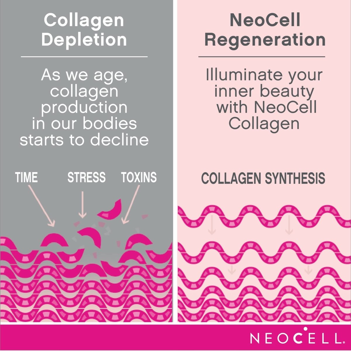 NeoCell Marine Collagen With Collagen Type 1 and 3 and Hyaluronic Acid, With Hydrolyzed Collagen, Skin Health Supplement, Capsule, 120 Count, 1 Bottle