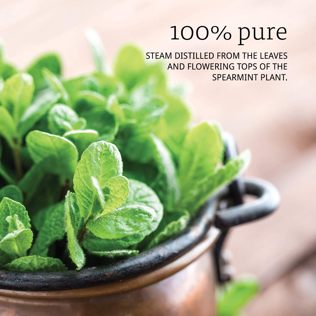NOW Spearmint Oil, 1-Ounce