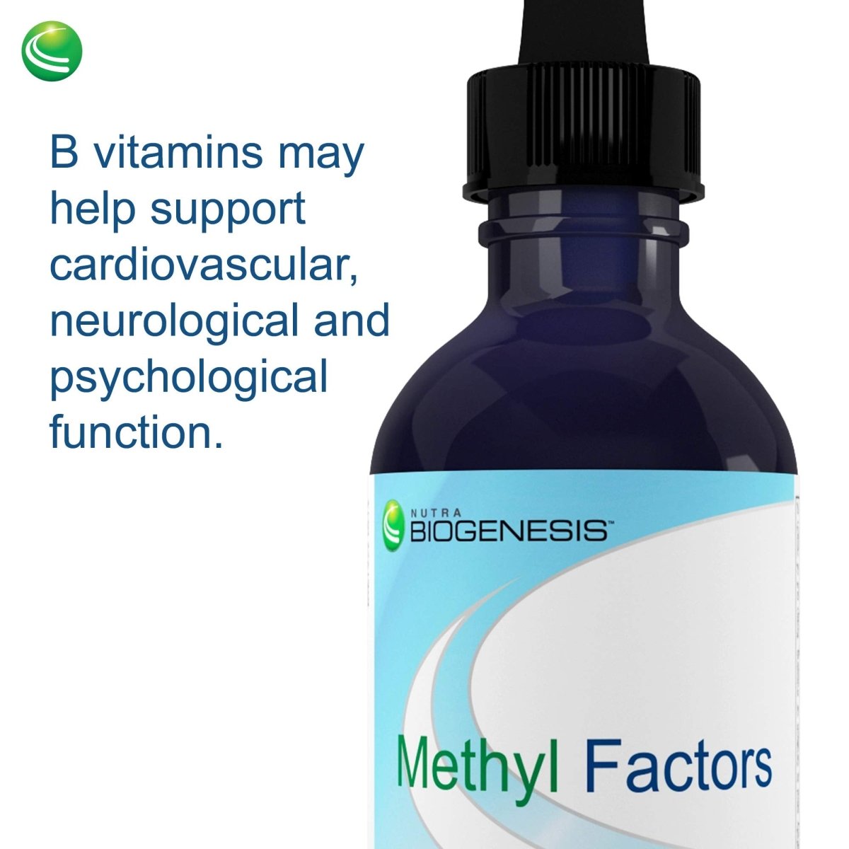 Nutra BioGenesis Methyl Factors Berry Flavor 2 oz  PN 90264