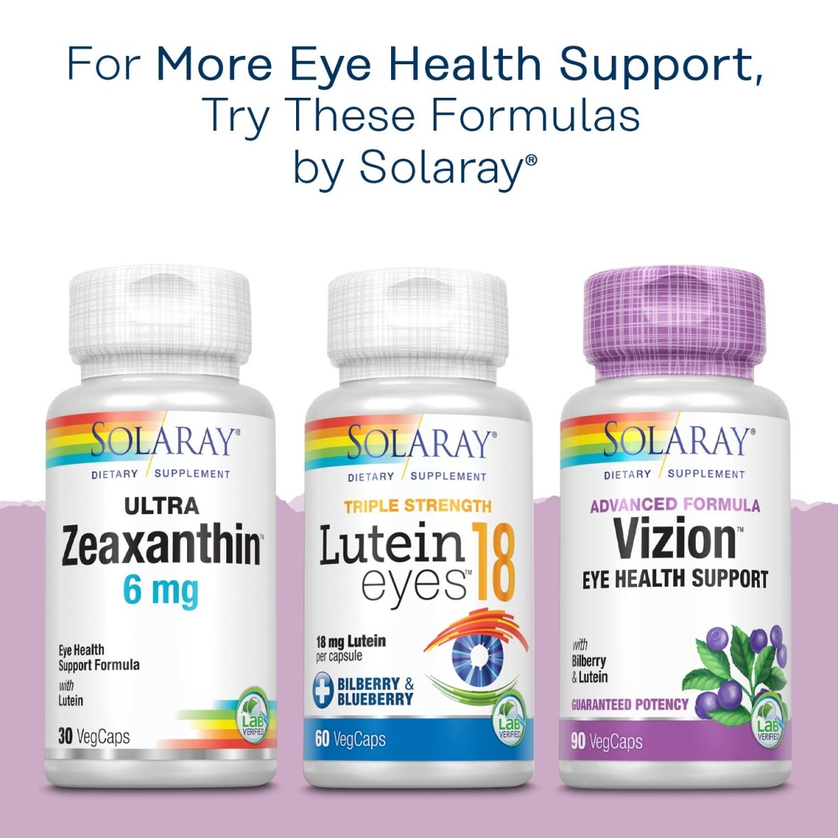 SOLARAY Bilberry Extract 160 mg VegCaps | Eye Health & Circulation Support | 36% Anthocyanosides with Blueberry | Vegan | 30 Count