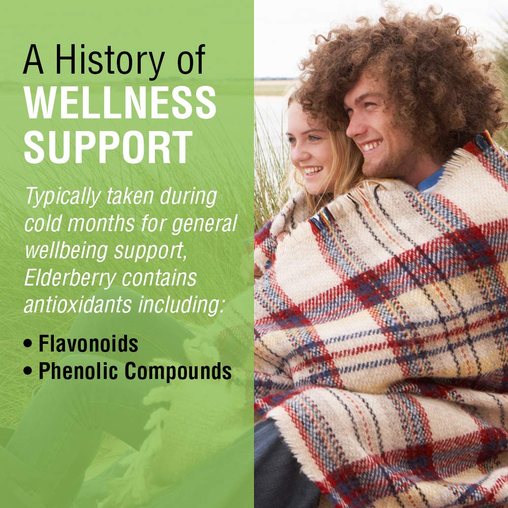 SOLARAY Elderberry Berry & Flower 450mg | Support for General Wellbeing During Cold Months | with Flavonoids & Phenolic Compounds | Non-GMO | 100ct