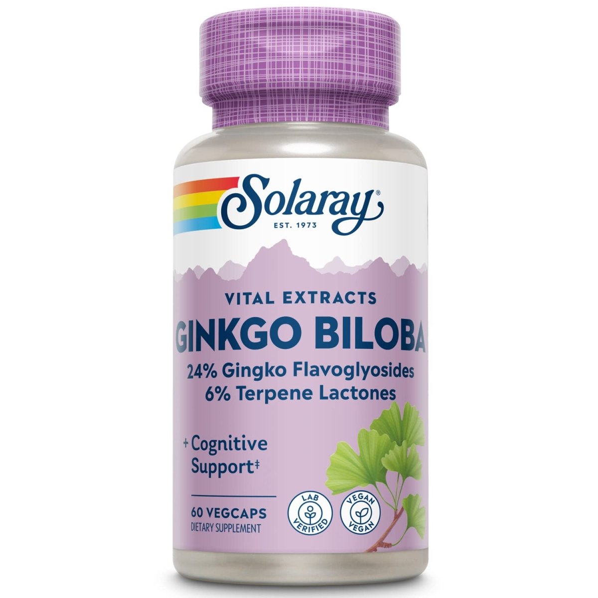 SOLARAY Ginkgo Biloba Extract, 60mg | 60 Count