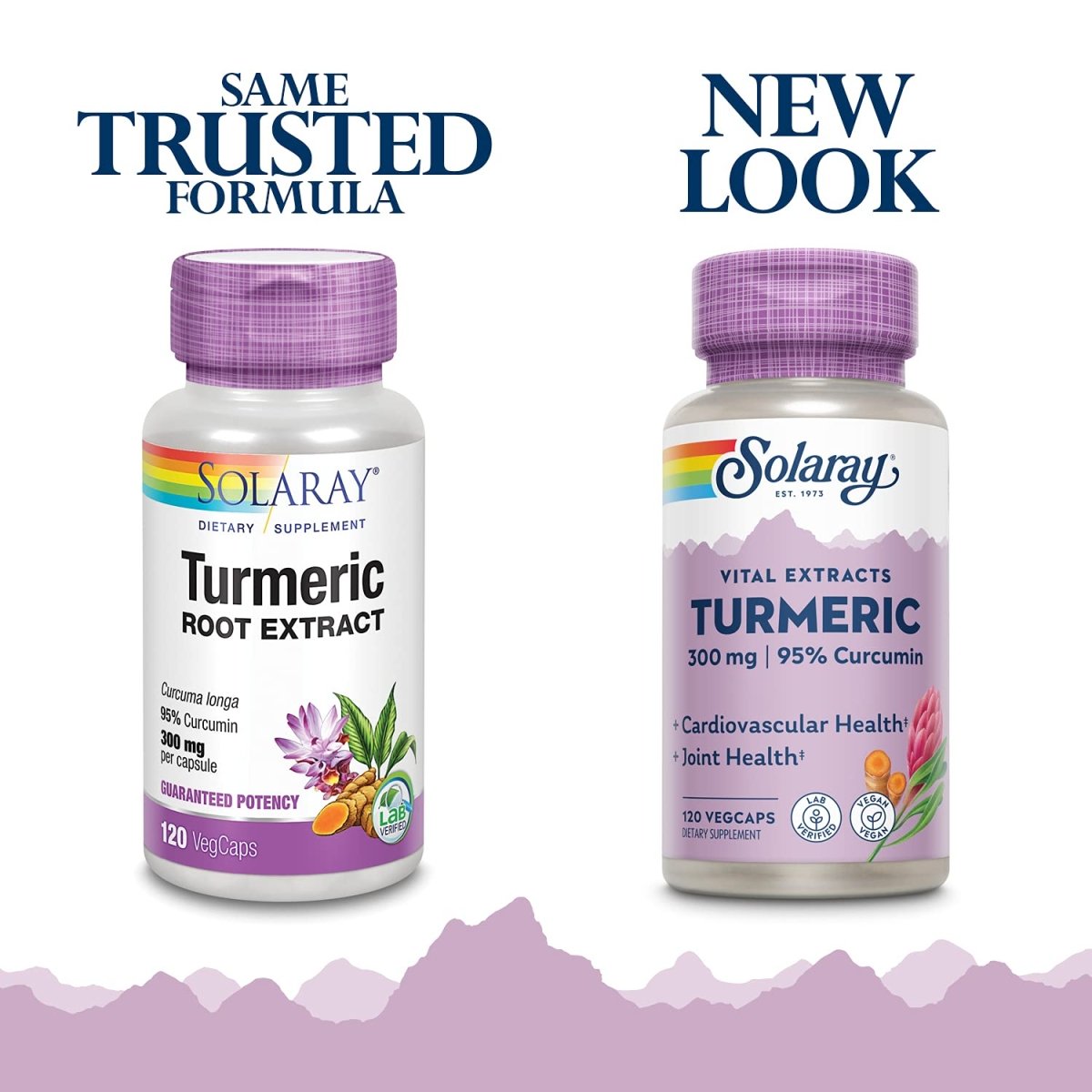 Solaray Guaranteed Potency Turmeric Root Extract 300 mg VCapsules, 120 Count