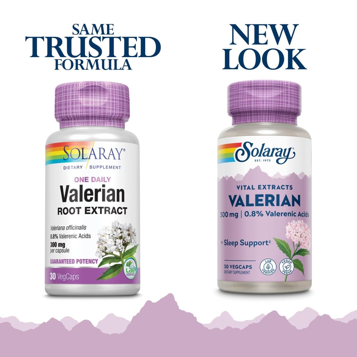 SOLARAY Guaranteed Potency Valerian Root Extract One Daily, Veg Cap (Btl-Plastic) 300mg | 30ct